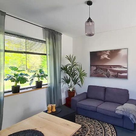 Studio Tussen De Bossen En De Bollenvelden Noordwijkerhout Zewnętrze zdjęcie