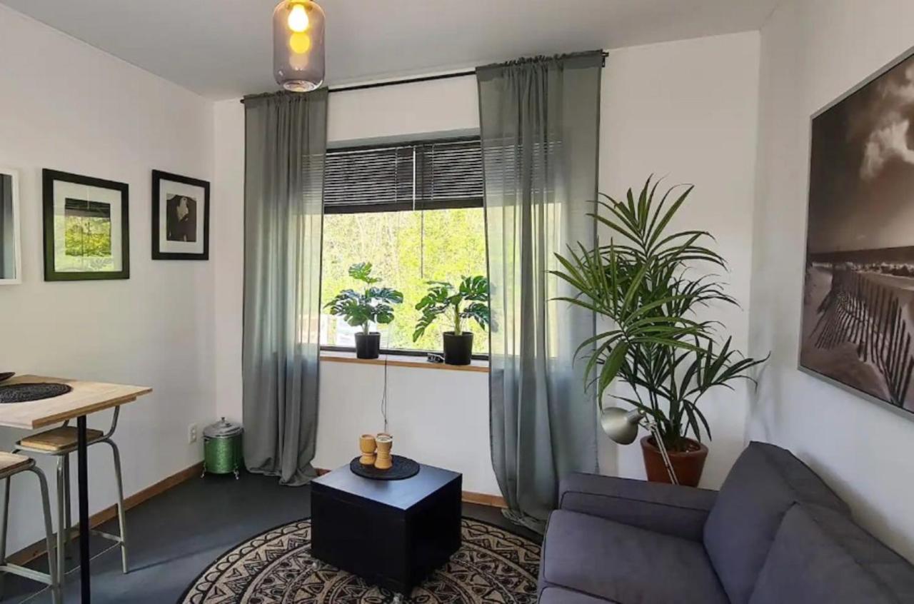 Studio Tussen De Bossen En De Bollenvelden Noordwijkerhout Zewnętrze zdjęcie